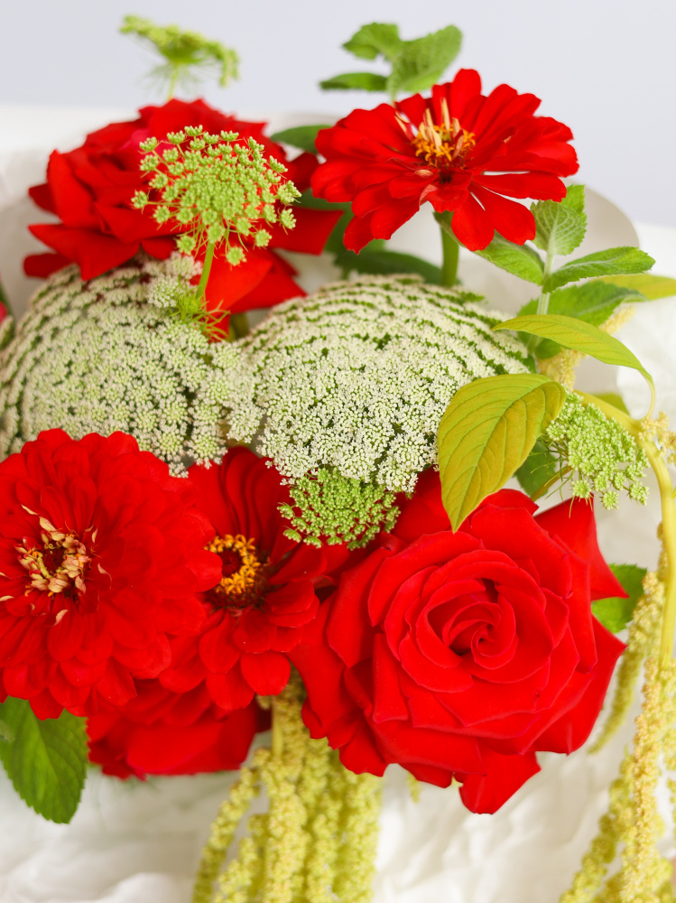 БУКЕТ С АЛОЙ ФРАНЦУЗСКОЙ РОЗОЙ И АМАРАНТОМ БУКЕТ С АЛОЙ ФРАНЦУЗСКОЙ РОЗОЙ И АМАРАНТОМ