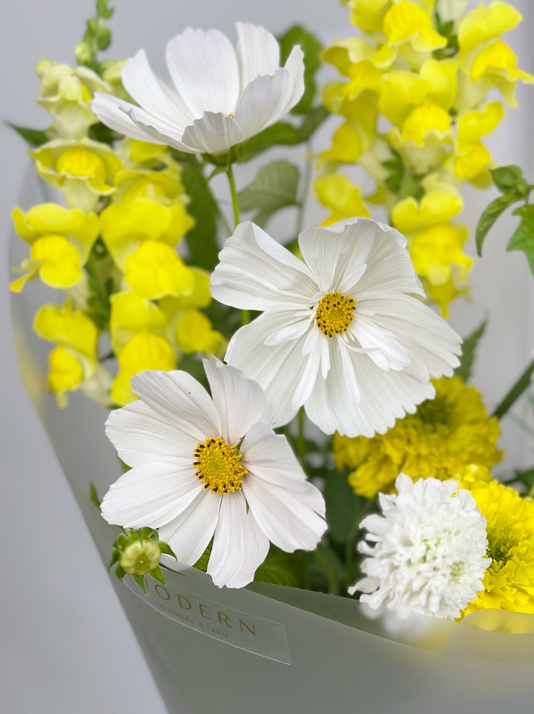 ЛЕТНИЙ БУКЕТ С КОСМЕЕЙ И БАРХАТЦАМИ ЛЕТНИЙ БУКЕТ С КОСМЕЕЙ И БАРХАТЦАМИ