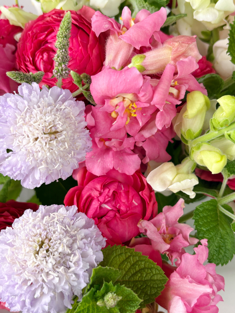 БУКЕТ С ПИОНОВИДНОЙ РОЗОЙ, СКАБИОЗОЙ И МЯТОЙ БУКЕТ С ПИОНОВИДНОЙ РОЗОЙ, СКАБИОЗОЙ И МЯТОЙ