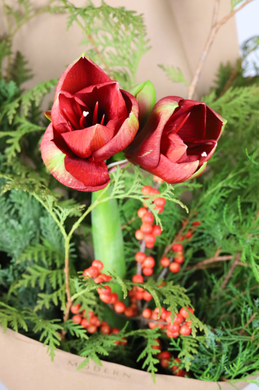 ХВОЙНЫЙ МИКС С ИЛЕКСОМ И АМАРИЛЛИСОМ