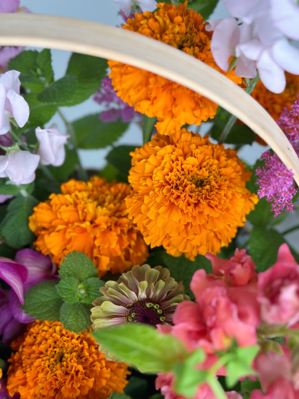 ЯРКАЯ КОРЗИНА С ЛЕТНИМИ ЦВЕТАМИ ЯРКАЯ КОРЗИНА С ЛЕТНИМИ ЦВЕТАМИ